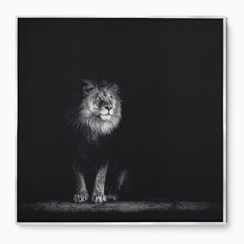 Tablou Canvas Premium LuxCanva® A1258, Leu Alb-Negru, Animal, Regele Junglei, Safari, Dormitor, Decorativ