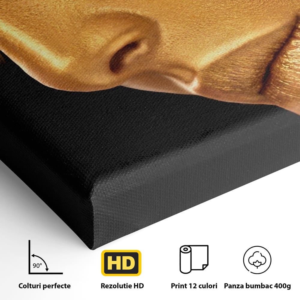 Leinwandbilder Premium-Leinwandbilder LuxCanva® A1268, Schöne Frau, Frau, Gold, rauchig, Dressing, leuchtende Farben