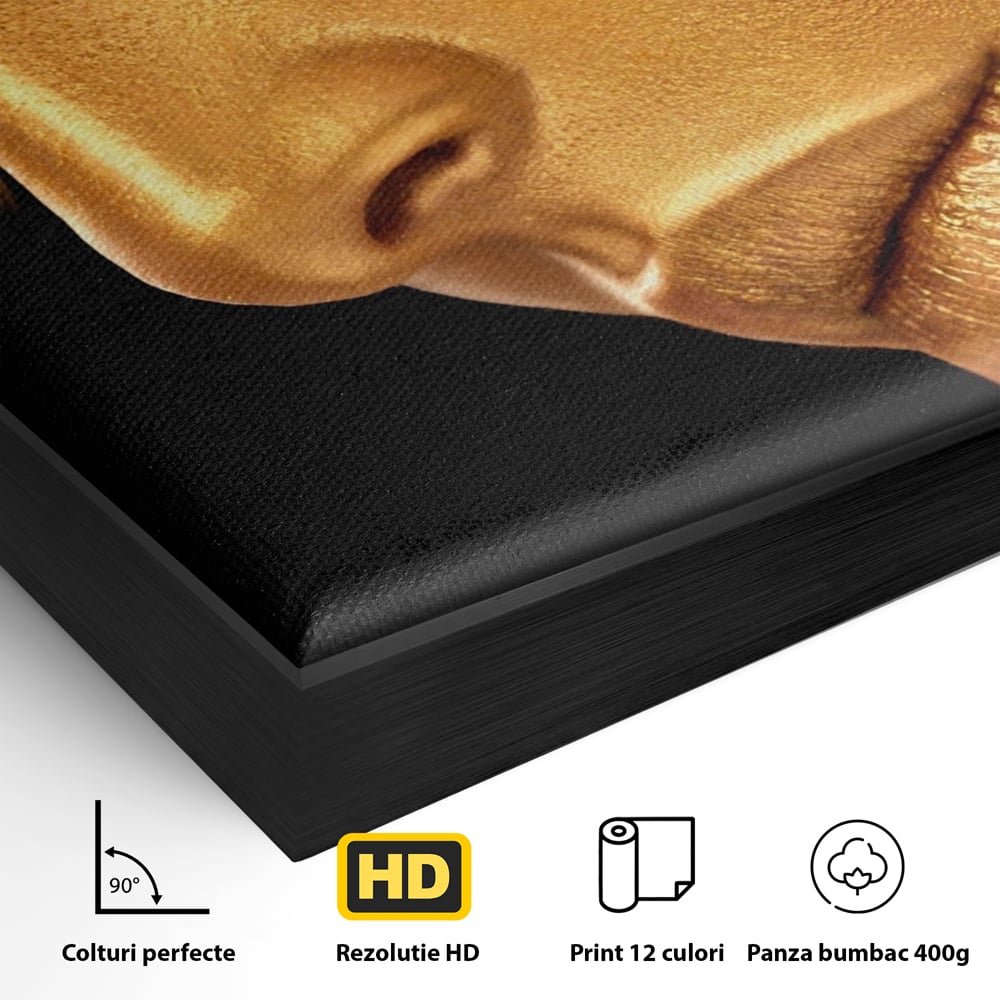 Leinwandbilder Premium-Leinwandbilder LuxCanva® A1268, Schöne Frau, Frau, Gold, rauchig, Dressing, leuchtende Farben