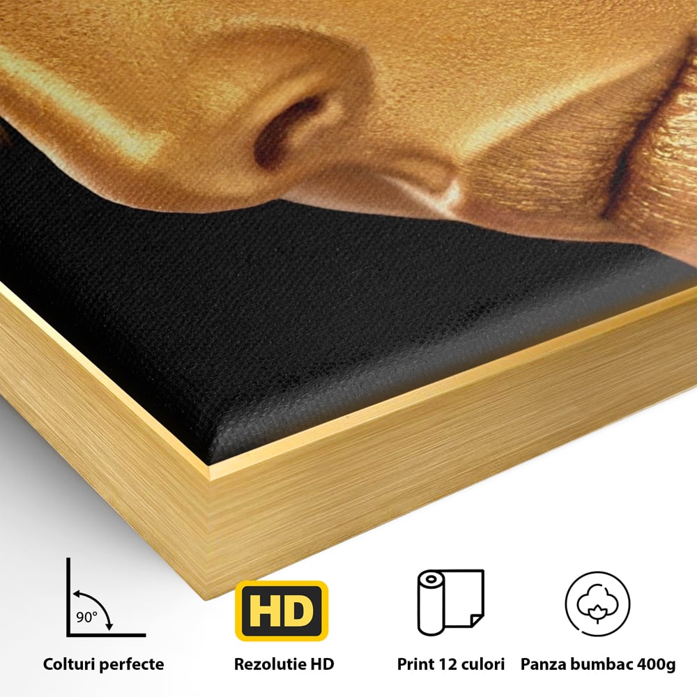 Leinwandbilder Premium-Leinwandbilder LuxCanva® A1268, Schöne Frau, Frau, Gold, rauchig, Dressing, leuchtende Farben