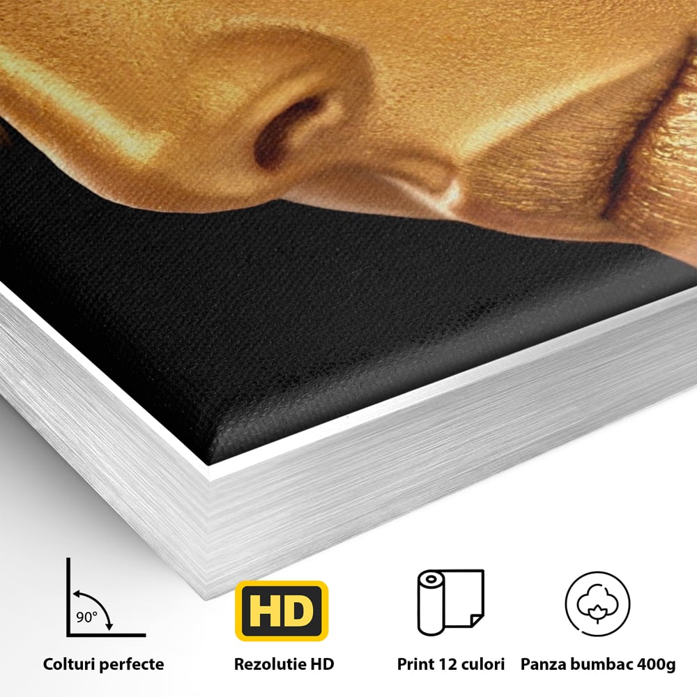 Leinwandbilder Premium-Leinwandbilder LuxCanva® A1268, Schöne Frau, Frau, Gold, rauchig, Dressing, leuchtende Farben