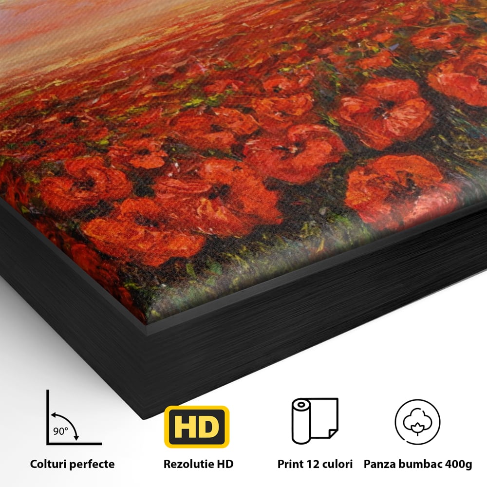 Leinwandbilder Premium-Leinwandkunst LuxCanva® A1275, Feld mit Mohnblumen, Wohnen, Blumen, Blumen, Sonne, Himmel, Landleben, Schlafzimmer, kräftige Farben