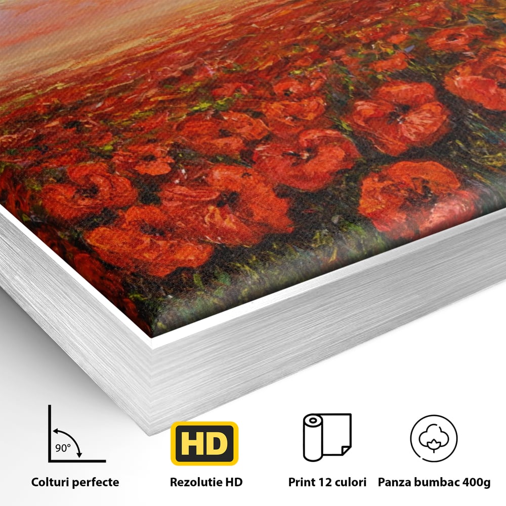 Leinwandbilder Premium-Leinwandkunst LuxCanva® A1275, Feld mit Mohnblumen, Wohnen, Blumen, Blumen, Sonne, Himmel, Landleben, Schlafzimmer, kräftige Farben