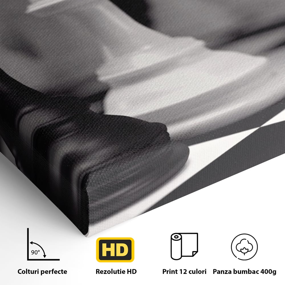 Tablou Canvas Premium LuxCanva® A1279, 2Pieces, Living, Piese Sah, Pioni, Echipa, Birou, Alb-Negru