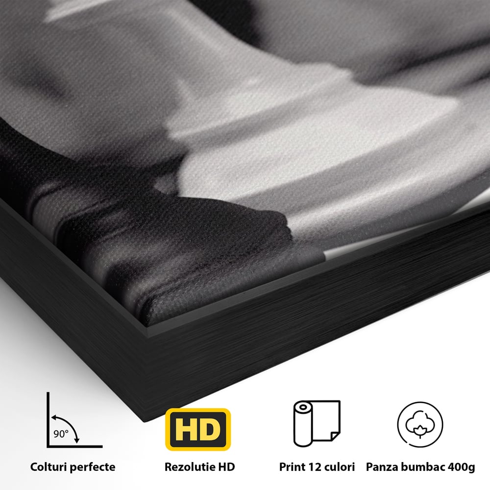 Tablou Canvas Premium LuxCanva® A1279, 2Pieces, Living, Piese Sah, Pioni, Echipa, Birou, Alb-Negru