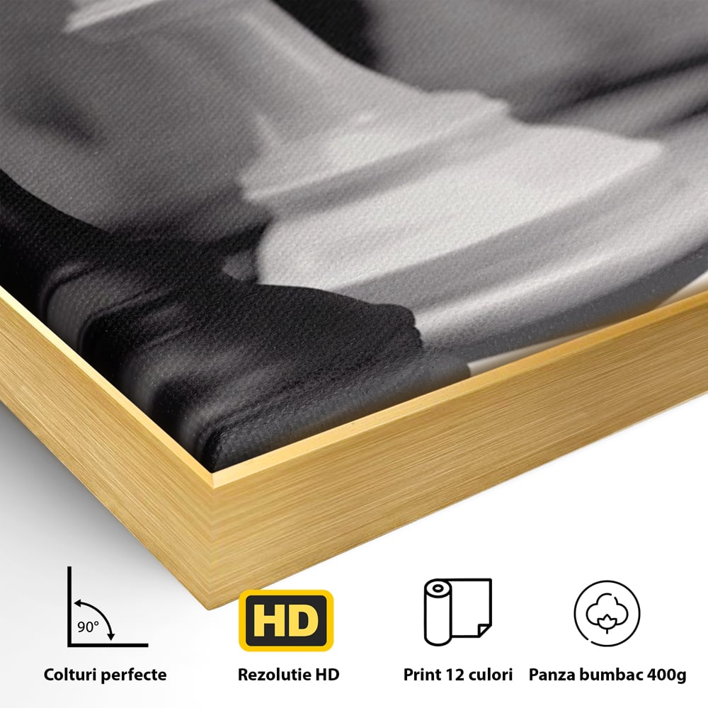 Tablou Canvas Premium LuxCanva® A1279, 2Pieces, Living, Piese Sah, Pioni, Echipa, Birou, Alb-Negru