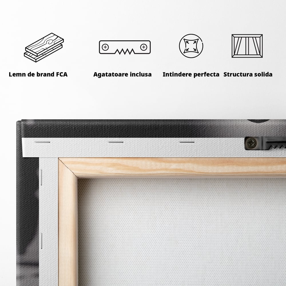 Tablou Canvas Premium LuxCanva® A1279, 2Pieces, Living, Piese Sah, Pioni, Echipa, Birou, Alb-Negru