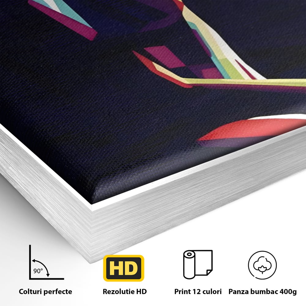Tablou Canvas Premium LuxCanva® A1308, Abstract Nude , Femeie, Senzual, Trup, Dormitor, Culori Vibrante