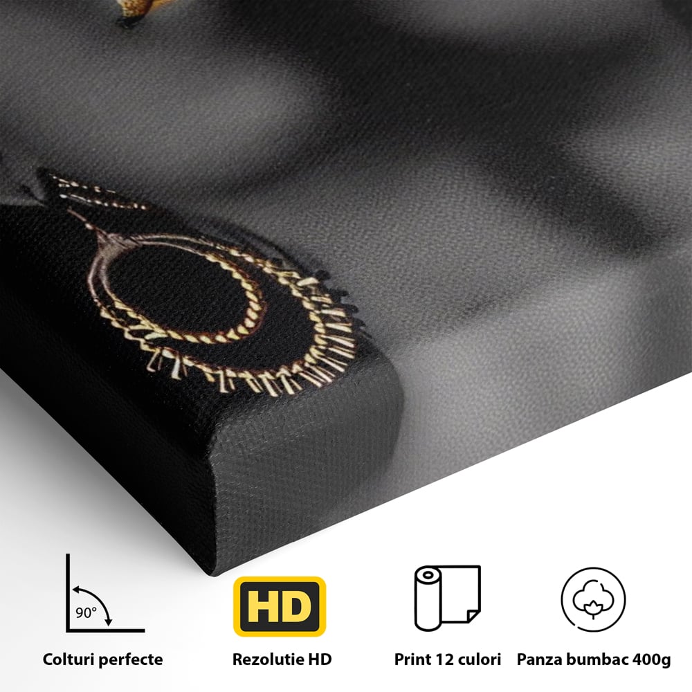 Tablou Canvas Premium LuxCanva® A1319, Black Woman , Living, Femeie, Auriu, Africa, Dormtior, Culori Vibrante