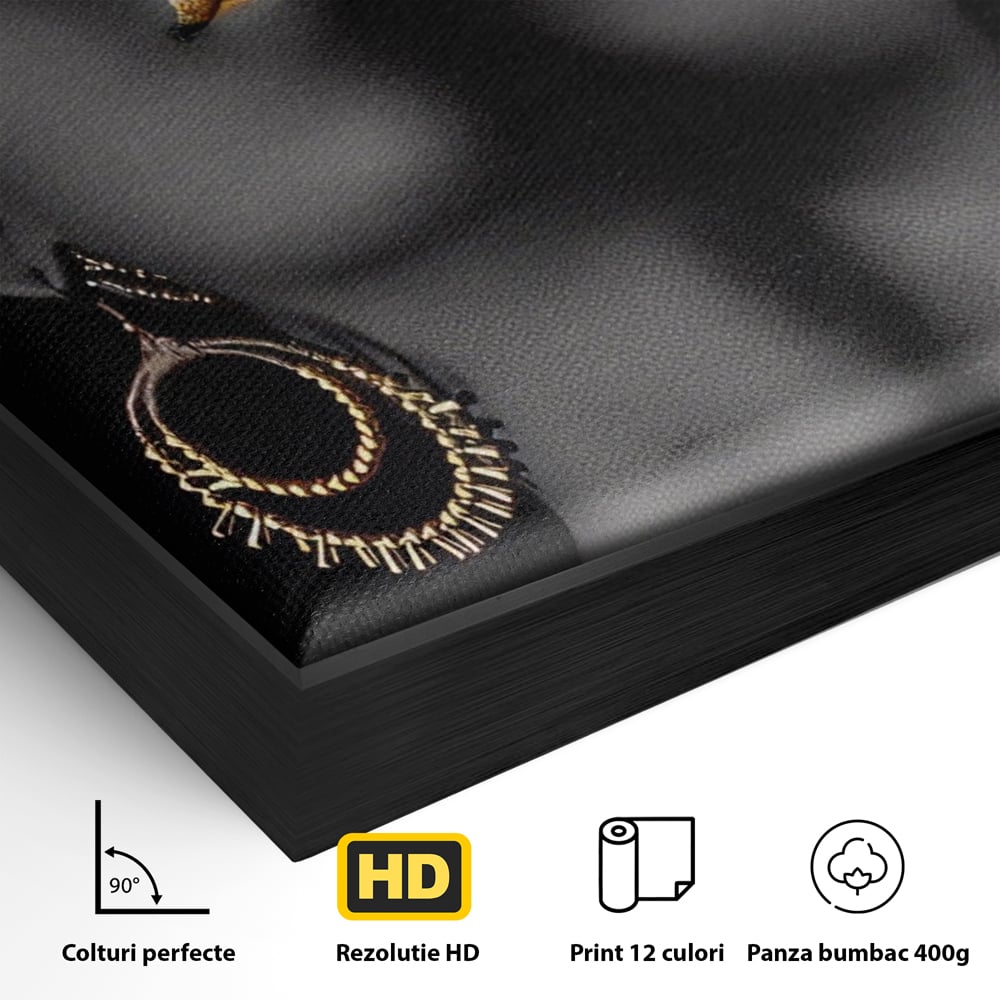 Leinwandbilder Premium LuxCanva® A1319, Schwarze Frau, Wohnen, Frau, Golden, Afrika, Afrika, Schlafzimmer, Lebendige Farben
