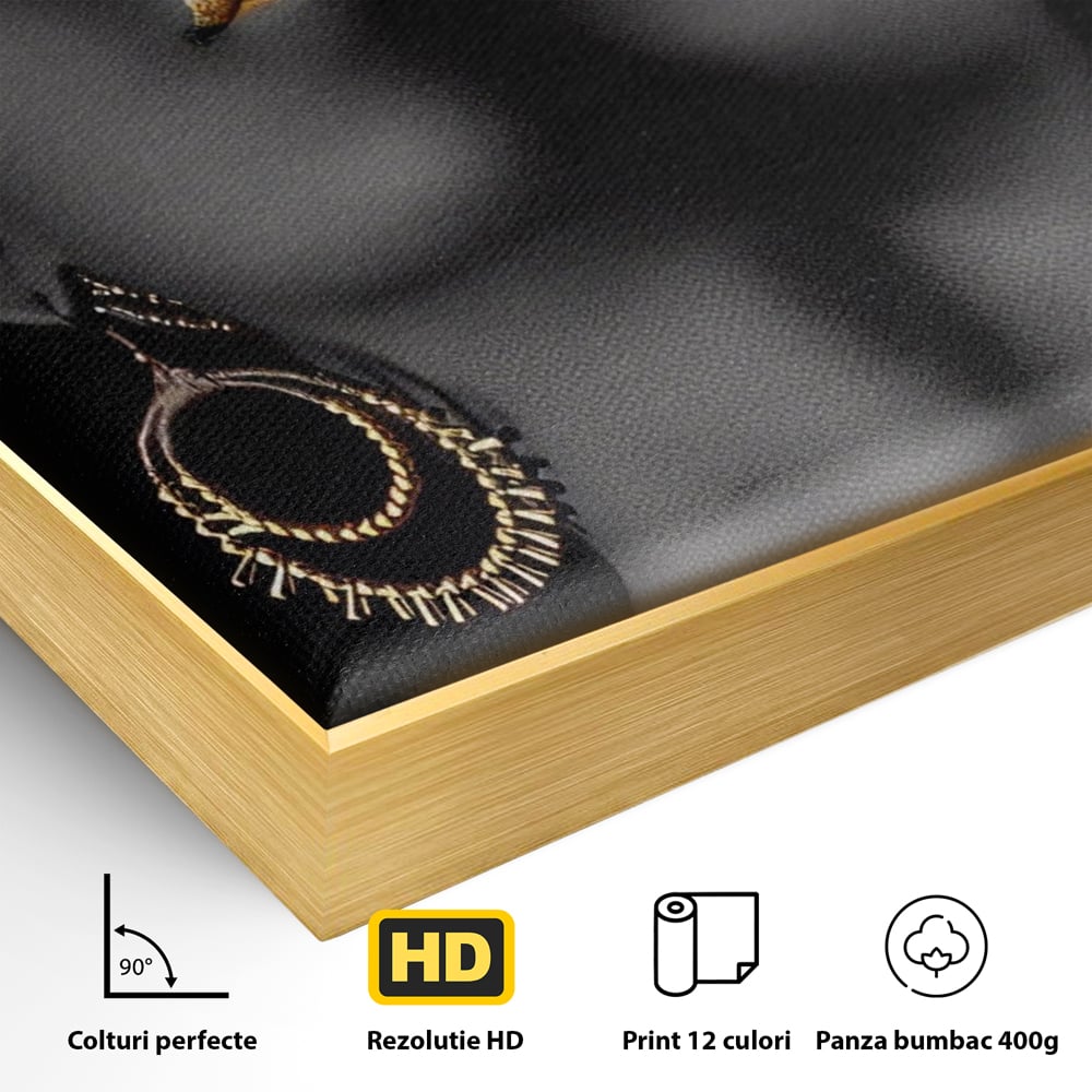 Leinwandbilder Premium LuxCanva® A1319, Schwarze Frau, Wohnen, Frau, Golden, Afrika, Afrika, Schlafzimmer, Lebendige Farben