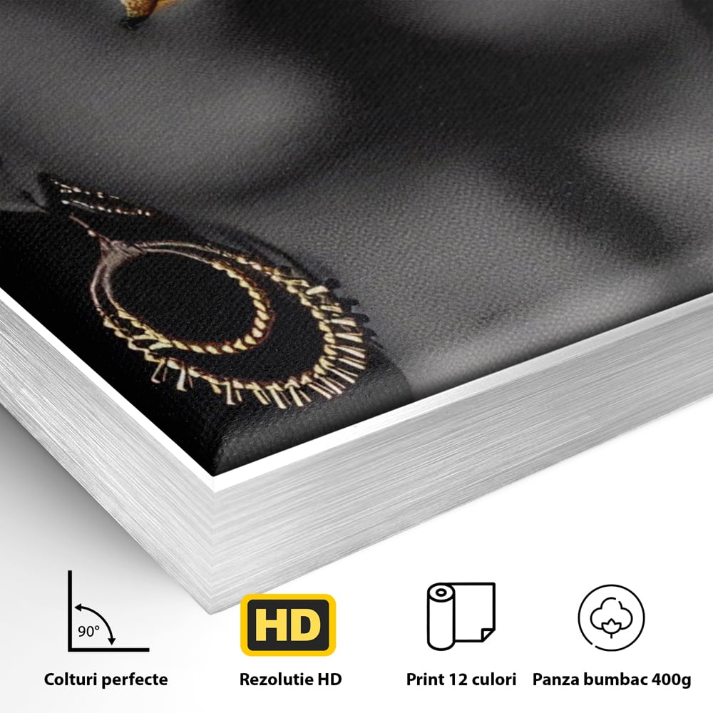 Leinwandbilder Premium LuxCanva® A1319, Schwarze Frau, Wohnen, Frau, Golden, Afrika, Afrika, Schlafzimmer, Lebendige Farben