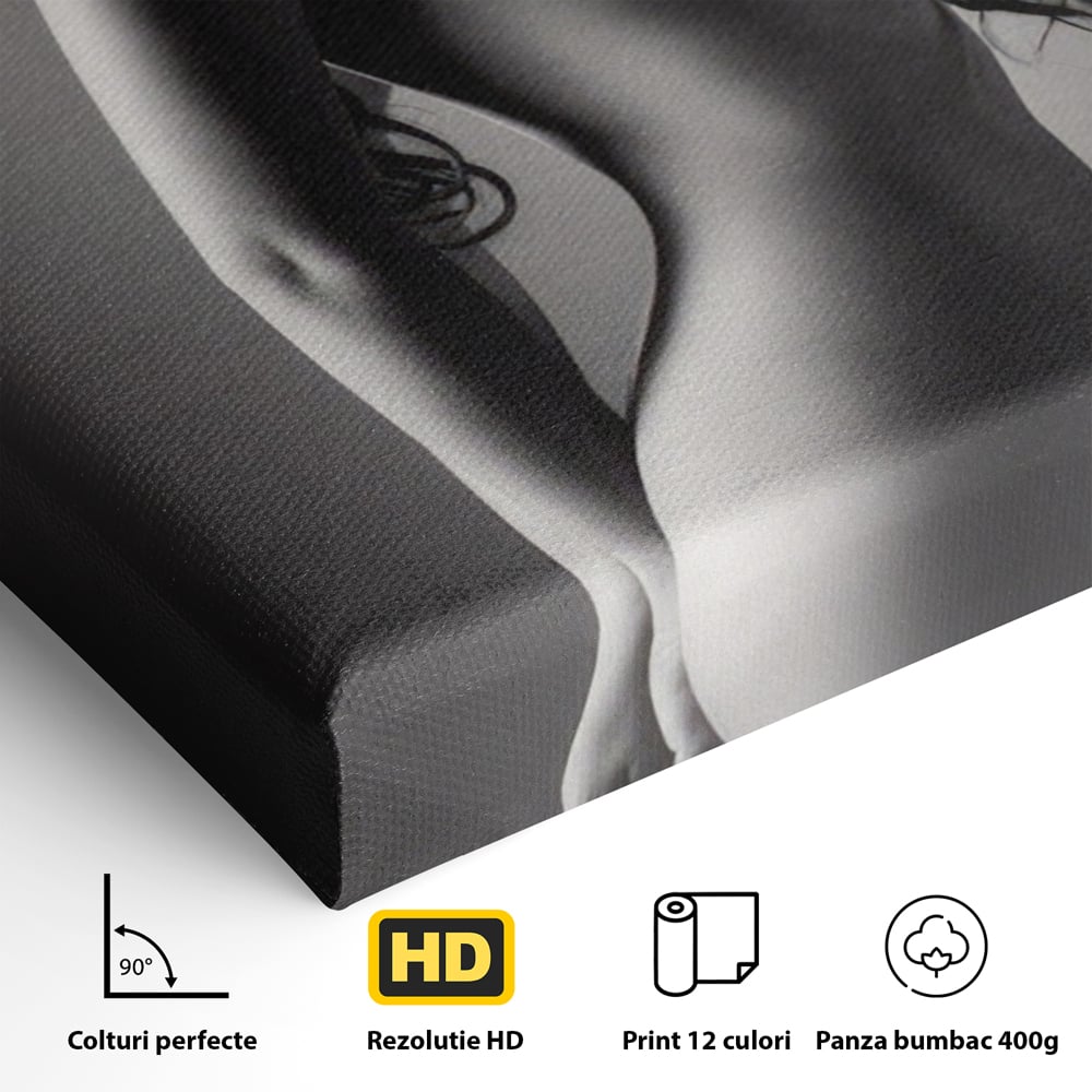 Tablou Canvas Premium LuxCanva® A1324, Sexy Girl , Living, Nude, Palarie, Senzual, Femeie, Dresing, Culori Vibrante