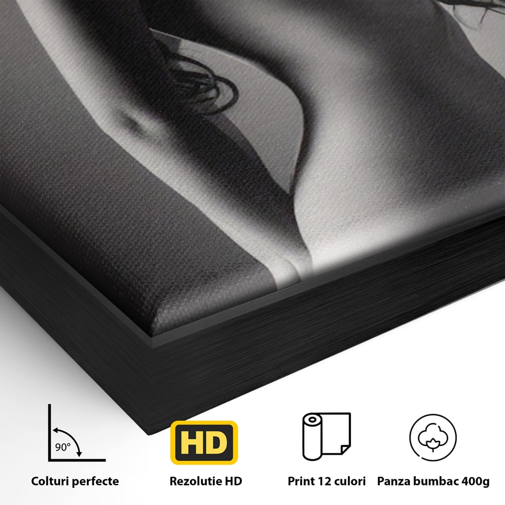 Tablou Canvas Premium LuxCanva® A1324, Sexy Girl , Living, Nude, Palarie, Senzual, Femeie, Dresing, Culori Vibrante