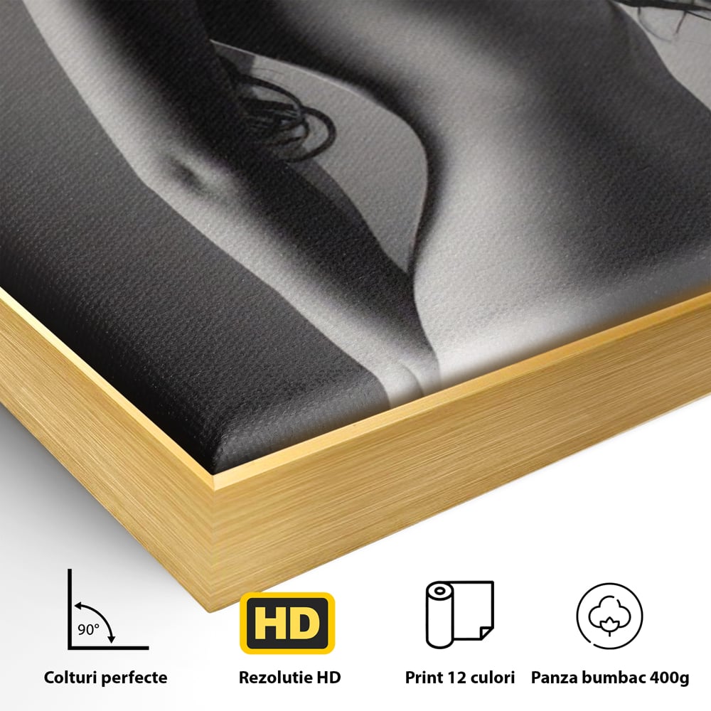 Tablou Canvas Premium LuxCanva® A1324, Sexy Girl , Living, Nude, Palarie, Senzual, Femeie, Dresing, Culori Vibrante