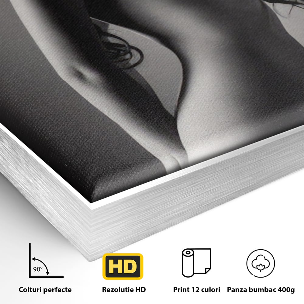 Tablou Canvas Premium LuxCanva® A1324, Sexy Girl , Living, Nude, Palarie, Senzual, Femeie, Dresing, Culori Vibrante