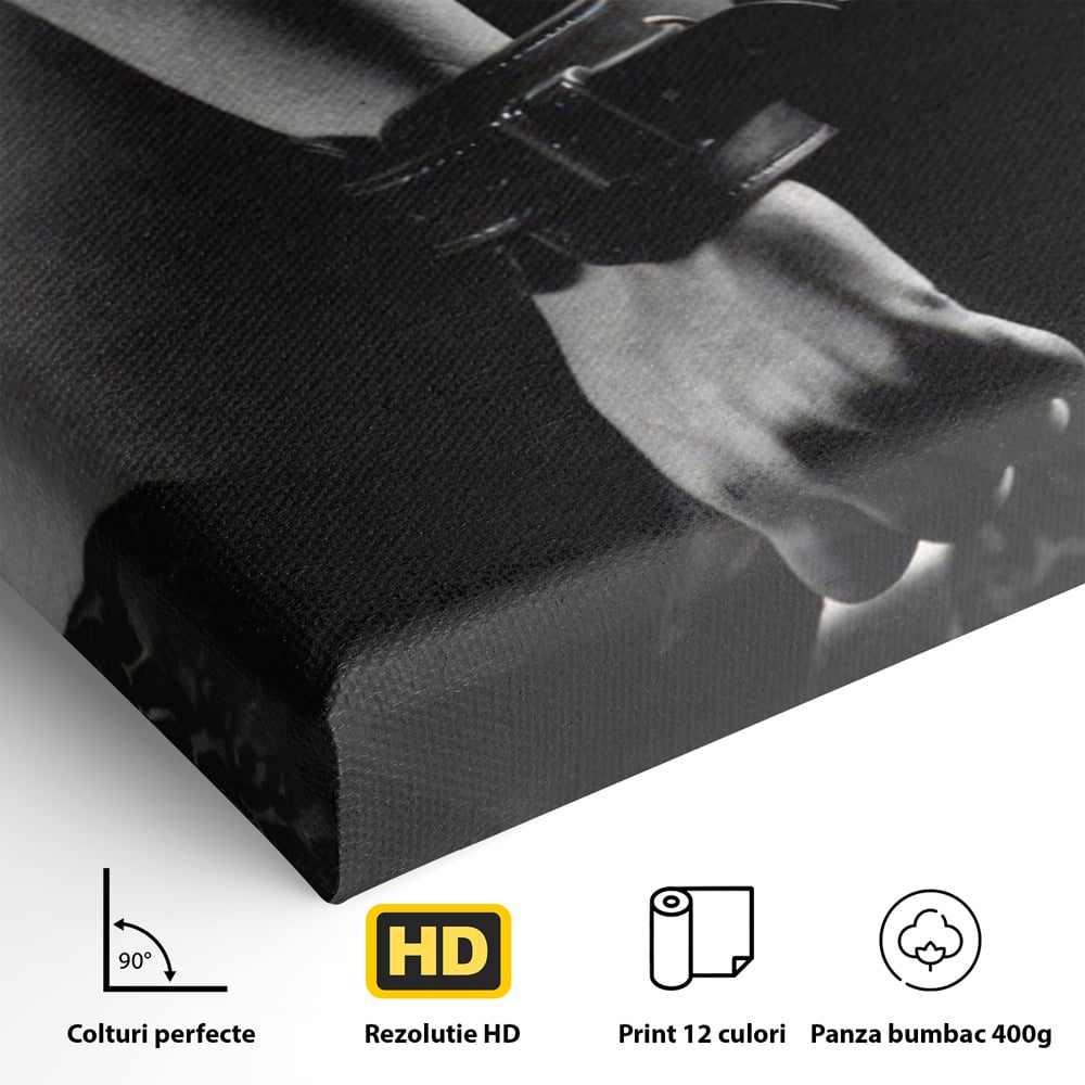 Leinwand Premium Canvas Wandkunst LuxCanva® A1329, Erotische Kunst , Lebendig, Sexy, Nackt, Handschellen, Sexy Körper, Studio, Kräftige Farben