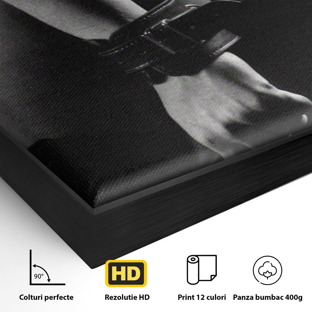 Leinwand Premium Canvas Wandkunst LuxCanva® A1329, Erotische Kunst , Lebendig, Sexy, Nackt, Handschellen, Sexy Körper, Studio, Kräftige Farben
