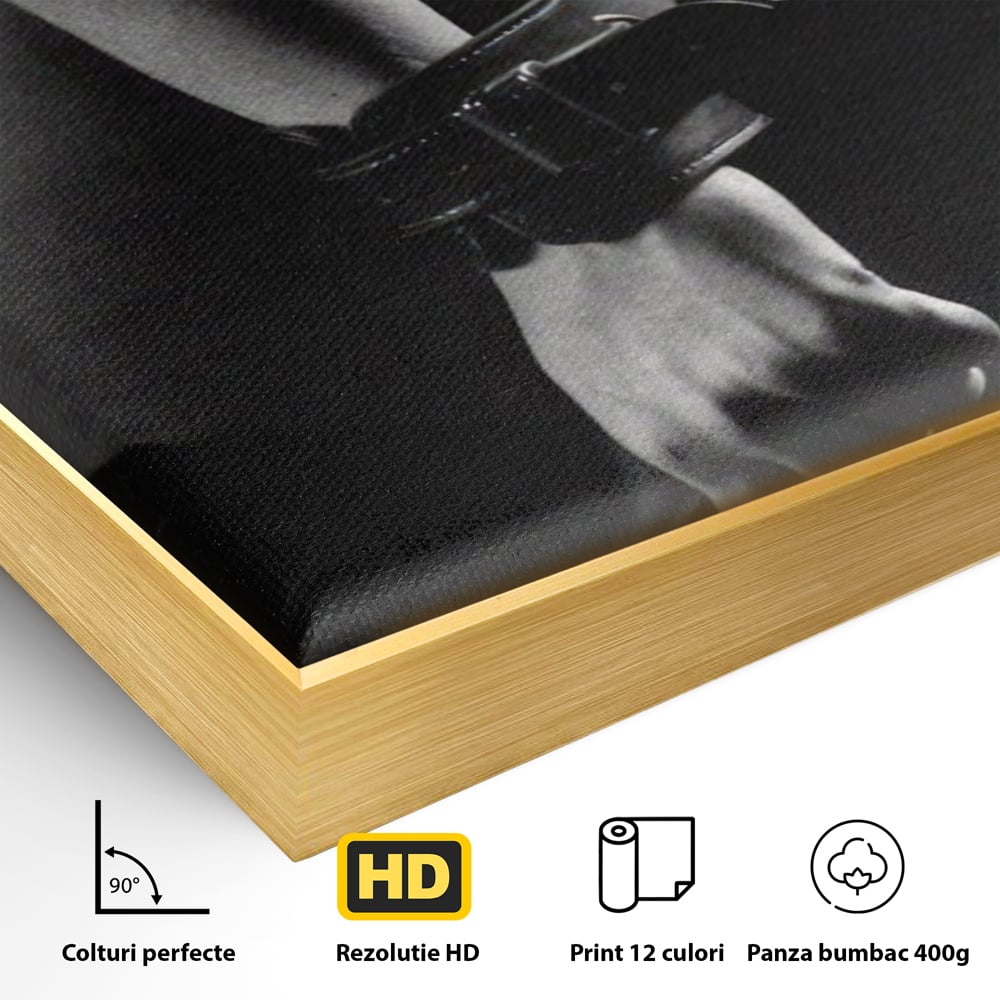 Leinwand Premium Canvas Wandkunst LuxCanva® A1329, Erotische Kunst , Lebendig, Sexy, Nackt, Handschellen, Sexy Körper, Studio, Kräftige Farben