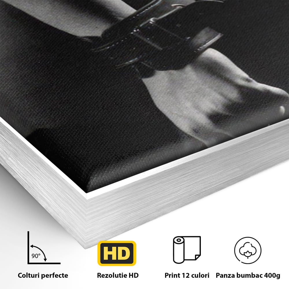 Leinwand Premium Canvas Wandkunst LuxCanva® A1329, Erotische Kunst , Lebendig, Sexy, Nackt, Handschellen, Sexy Körper, Studio, Kräftige Farben