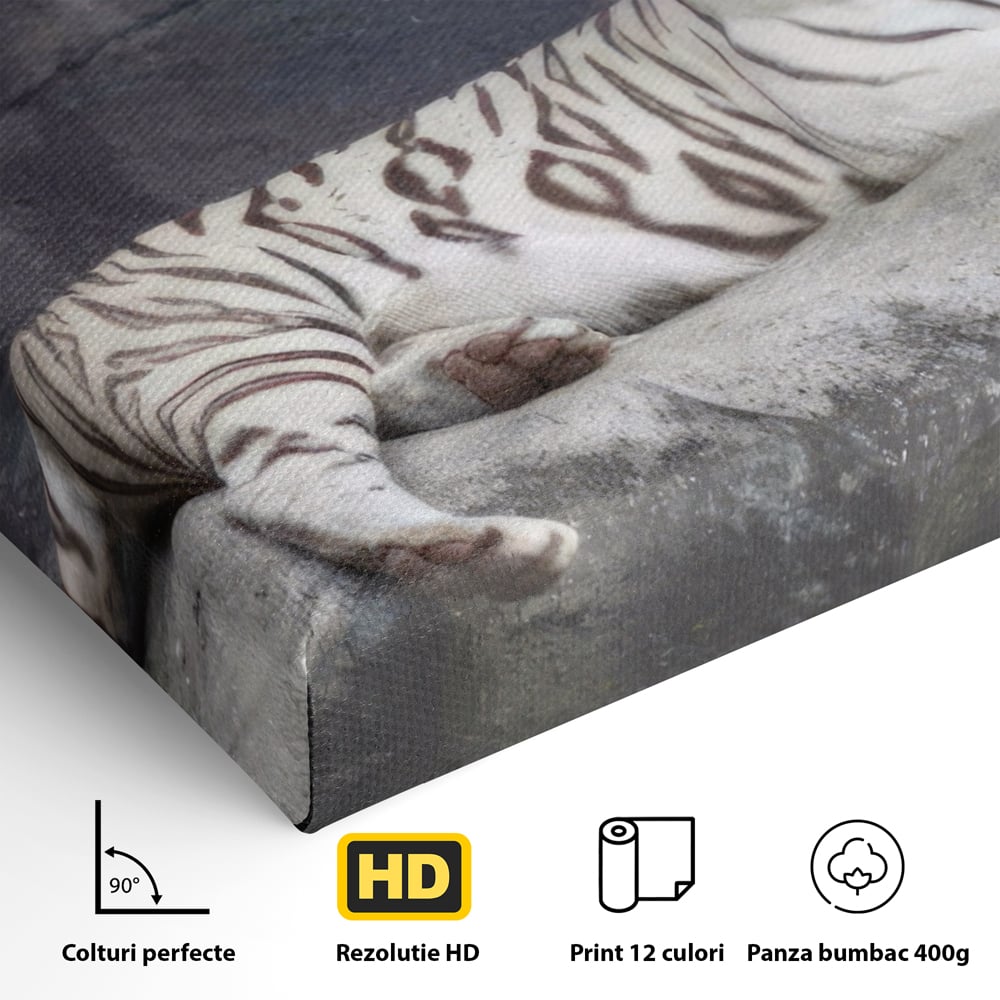 Tablou Canvas Premium LuxCanva® A1333, White Tiger , Living, Animal Salbatic, Tigru, Decorativ, Dormitor, Culori Vibrante