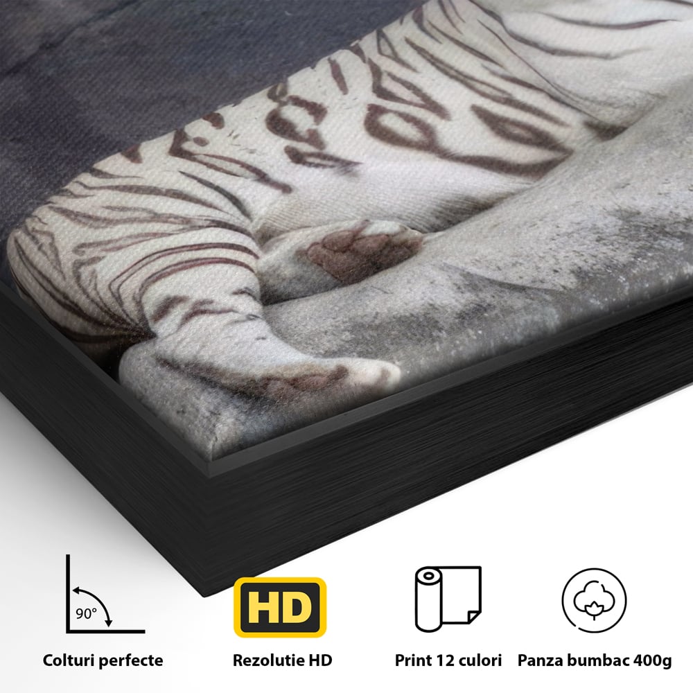 Tablou Canvas Premium LuxCanva® A1333, White Tiger , Living, Animal Salbatic, Tigru, Decorativ, Dormitor, Culori Vibrante