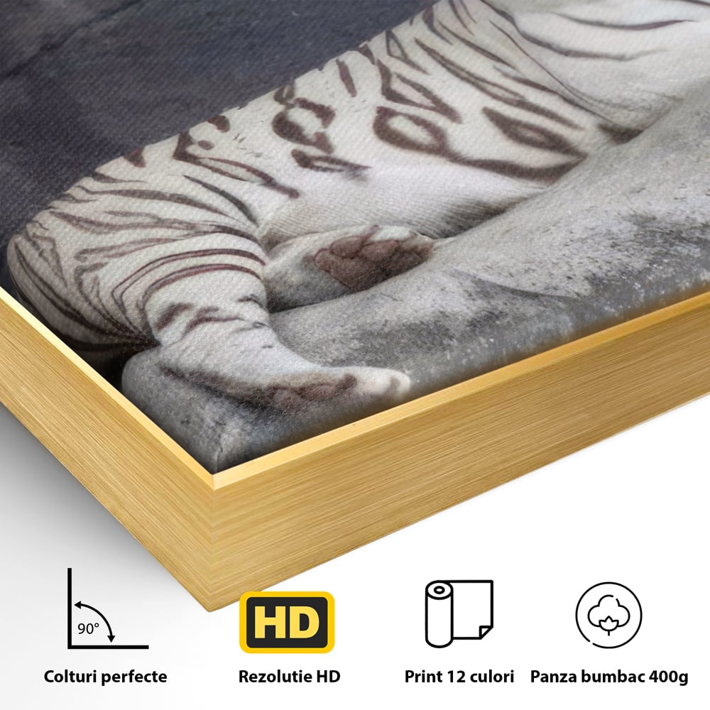 Tablou Canvas Premium LuxCanva® A1333, White Tiger , Living, Animal Salbatic, Tigru, Decorativ, Dormitor, Culori Vibrante