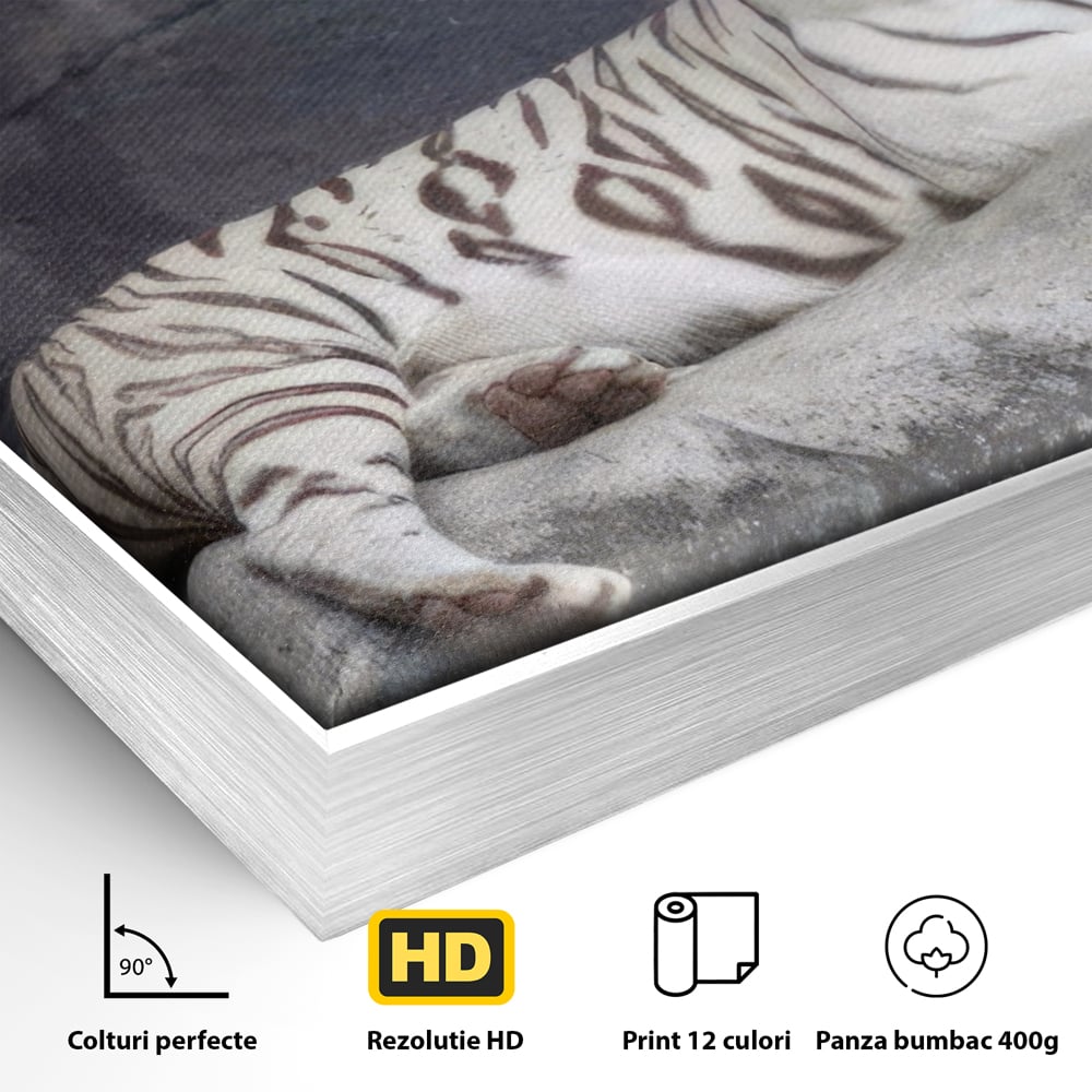 Tablou Canvas Premium LuxCanva® A1333, White Tiger , Living, Animal Salbatic, Tigru, Decorativ, Dormitor, Culori Vibrante