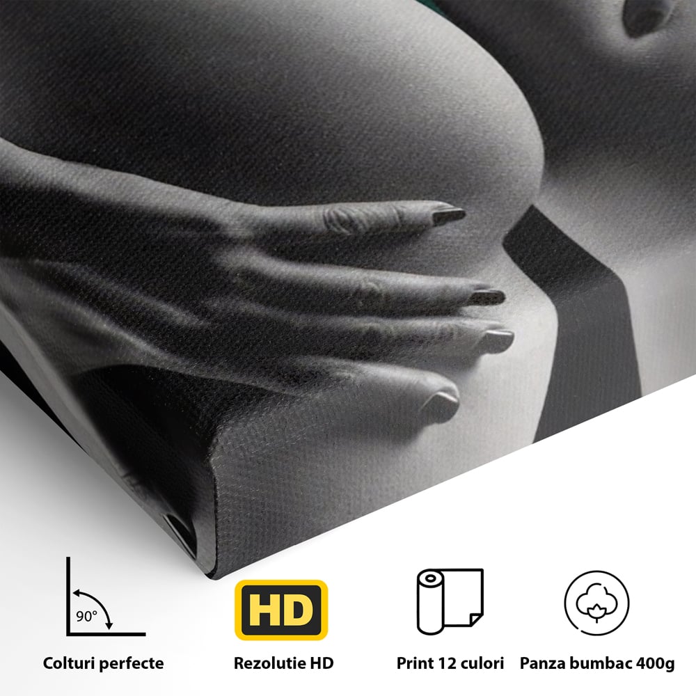 Tablou Canvas Premium LuxCanva® A1334, Green Underwear , Studio, Sexi Nude, Senzual, Erotic, Dormitor, Culori Vibrante