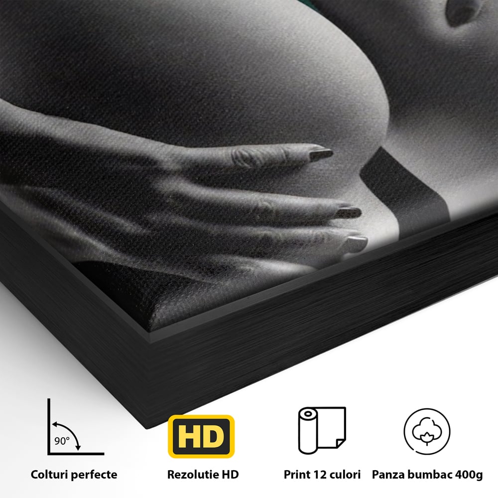 Tablou Canvas Premium LuxCanva® A1334, Green Underwear , Studio, Sexi Nude, Senzual, Erotic, Dormitor, Culori Vibrante