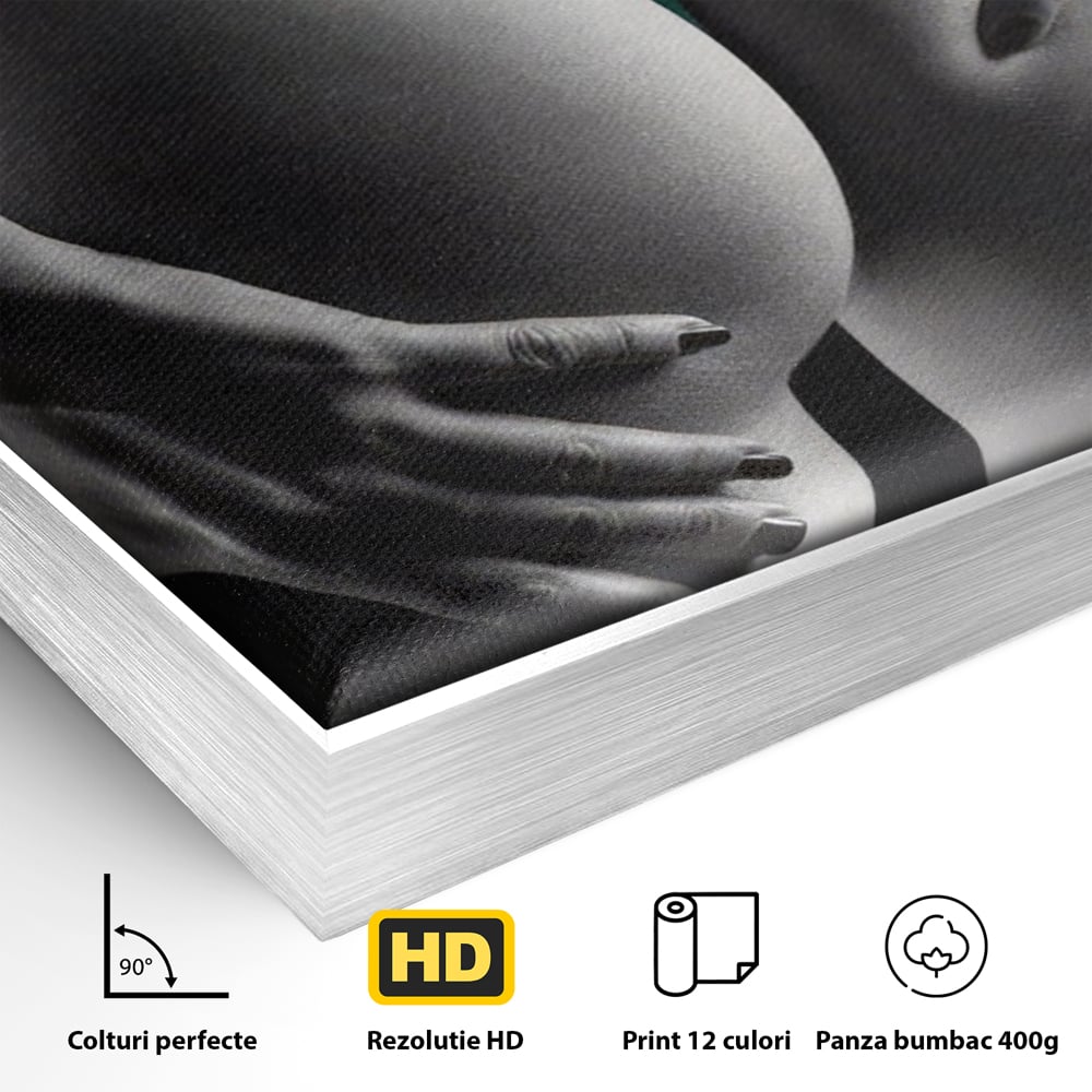 Tablou Canvas Premium LuxCanva® A1334, Green Underwear , Studio, Sexi Nude, Senzual, Erotic, Dormitor, Culori Vibrante