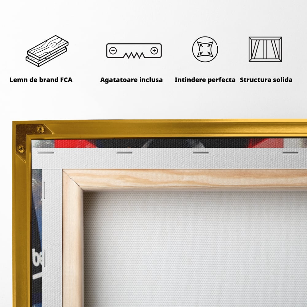 Leinwand Wandkunst Leinwand Wandkunst Premium LuxCanva® A1343, Messi Nr.10 , Wohnen, Fußballer, Ballon d'Or, Sportler, Spielzimmer, Lebendige Farben