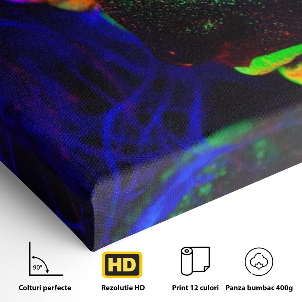 Leinwand Premium Canvas Wandkunst LuxCanva® A1357, Buntes Mädchen, Hübsch, Neon, Glitter, Phosphoreszierend, Lebendige Farben