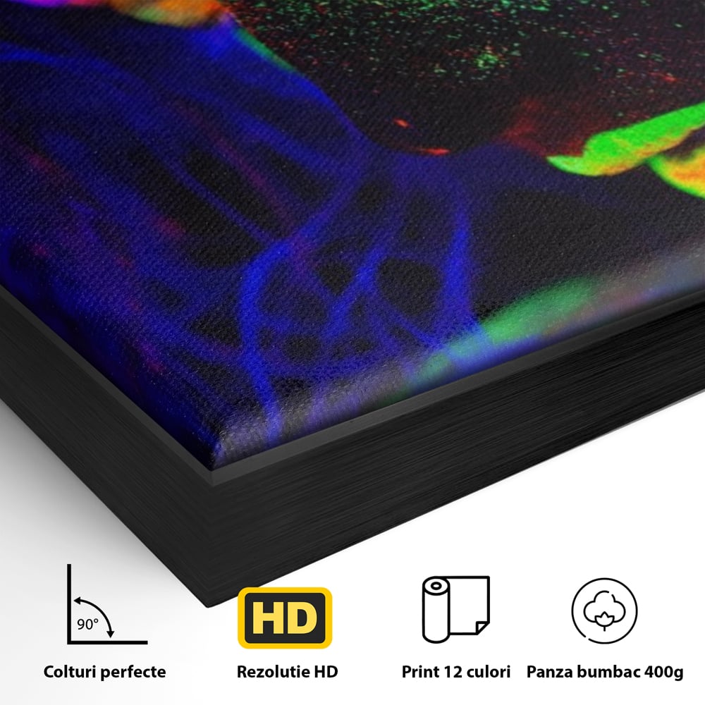 Leinwand Premium Canvas Wandkunst LuxCanva® A1357, Buntes Mädchen, Hübsch, Neon, Glitter, Phosphoreszierend, Lebendige Farben
