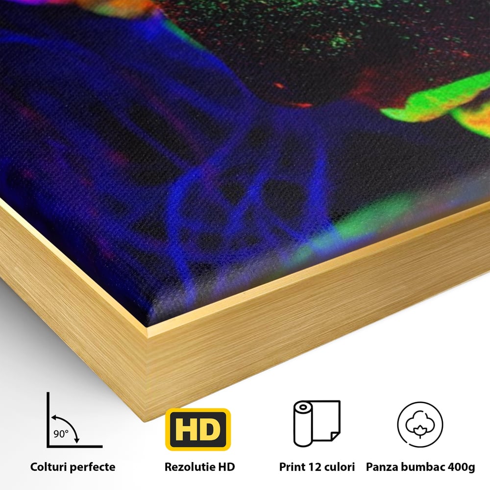 Leinwand Premium Canvas Wandkunst LuxCanva® A1357, Buntes Mädchen, Hübsch, Neon, Glitter, Phosphoreszierend, Lebendige Farben