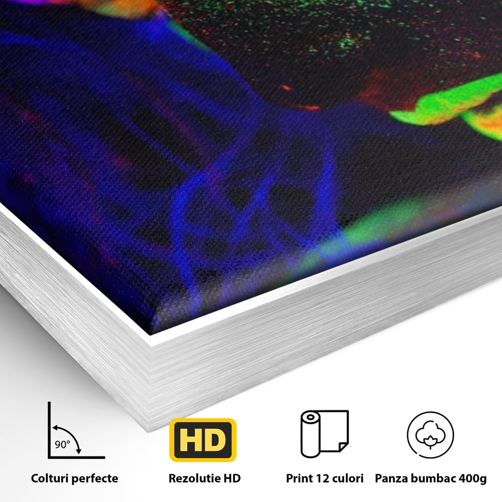 Leinwand Premium Canvas Wandkunst LuxCanva® A1357, Buntes Mädchen, Hübsch, Neon, Glitter, Phosphoreszierend, Lebendige Farben