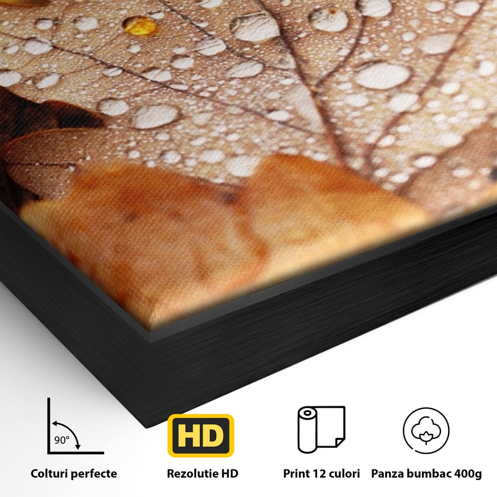 Leinwand Wandkunst Leinwand Wandkunst LuxCanva® A1362, Tautropfen , Lebendig, Blatt, Eiche, Herbst, Bernstein, Natur, Lebendige Farben
