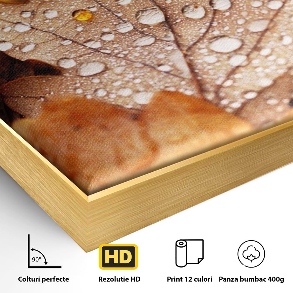 Leinwand Wandkunst Leinwand Wandkunst LuxCanva® A1362, Tautropfen , Lebendig, Blatt, Eiche, Herbst, Bernstein, Natur, Lebendige Farben