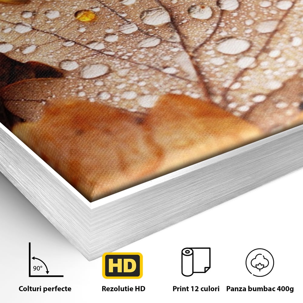 Leinwand Wandkunst Leinwand Wandkunst LuxCanva® A1362, Tautropfen , Lebendig, Blatt, Eiche, Herbst, Bernstein, Natur, Lebendige Farben