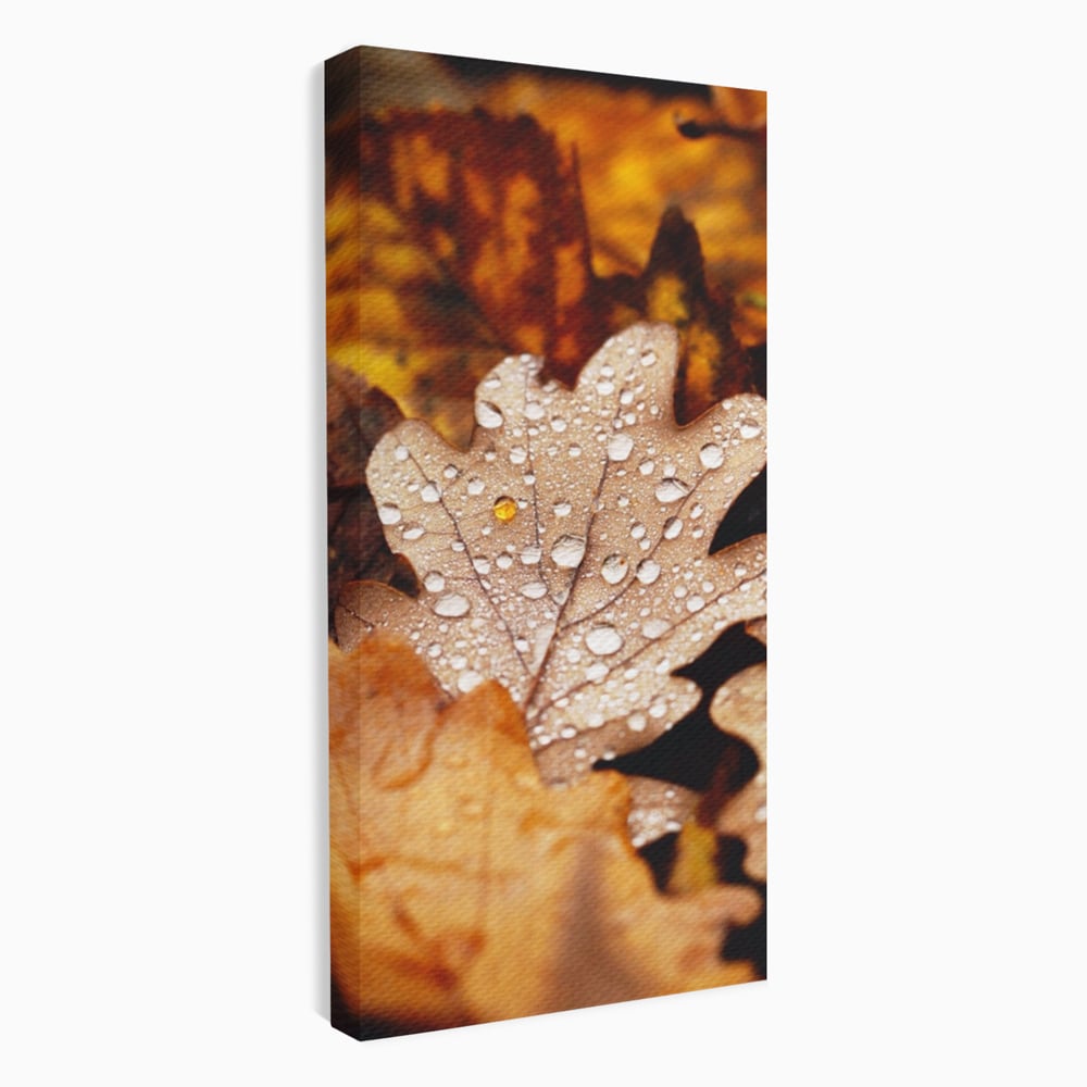 Leinwand Wandkunst Leinwand Wandkunst LuxCanva® A1362, Tautropfen , Lebendig, Blatt, Eiche, Herbst, Bernstein, Natur, Lebendige Farben