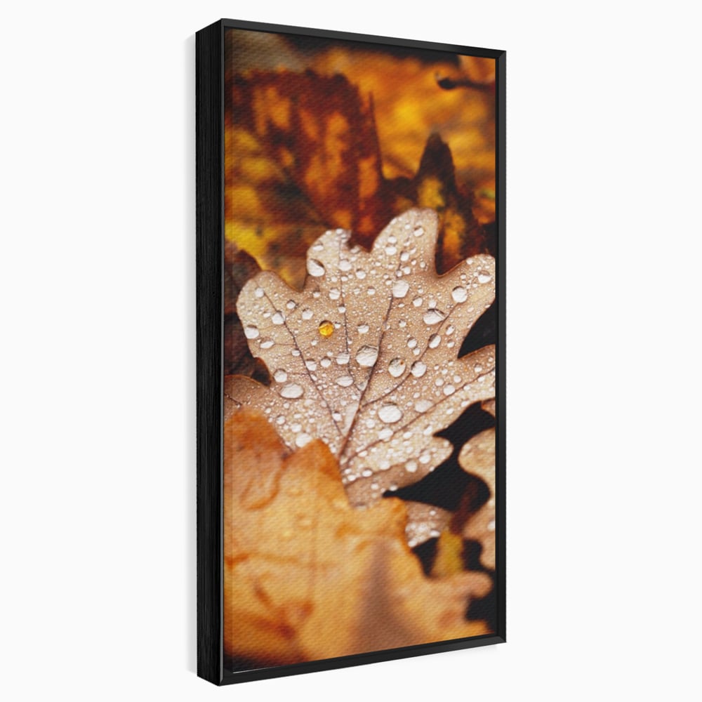 Leinwand Wandkunst Leinwand Wandkunst LuxCanva® A1362, Tautropfen , Lebendig, Blatt, Eiche, Herbst, Bernstein, Natur, Lebendige Farben