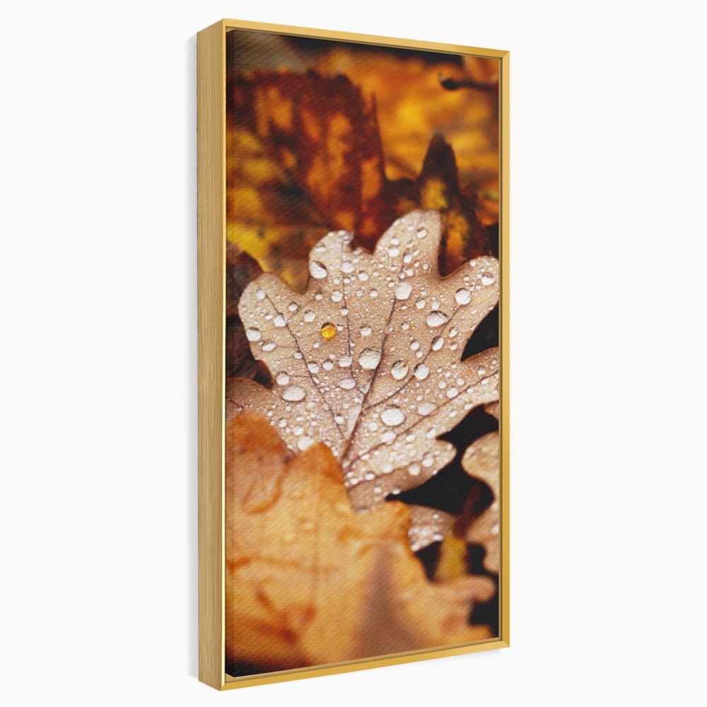 Leinwand Wandkunst Leinwand Wandkunst LuxCanva® A1362, Tautropfen , Lebendig, Blatt, Eiche, Herbst, Bernstein, Natur, Lebendige Farben