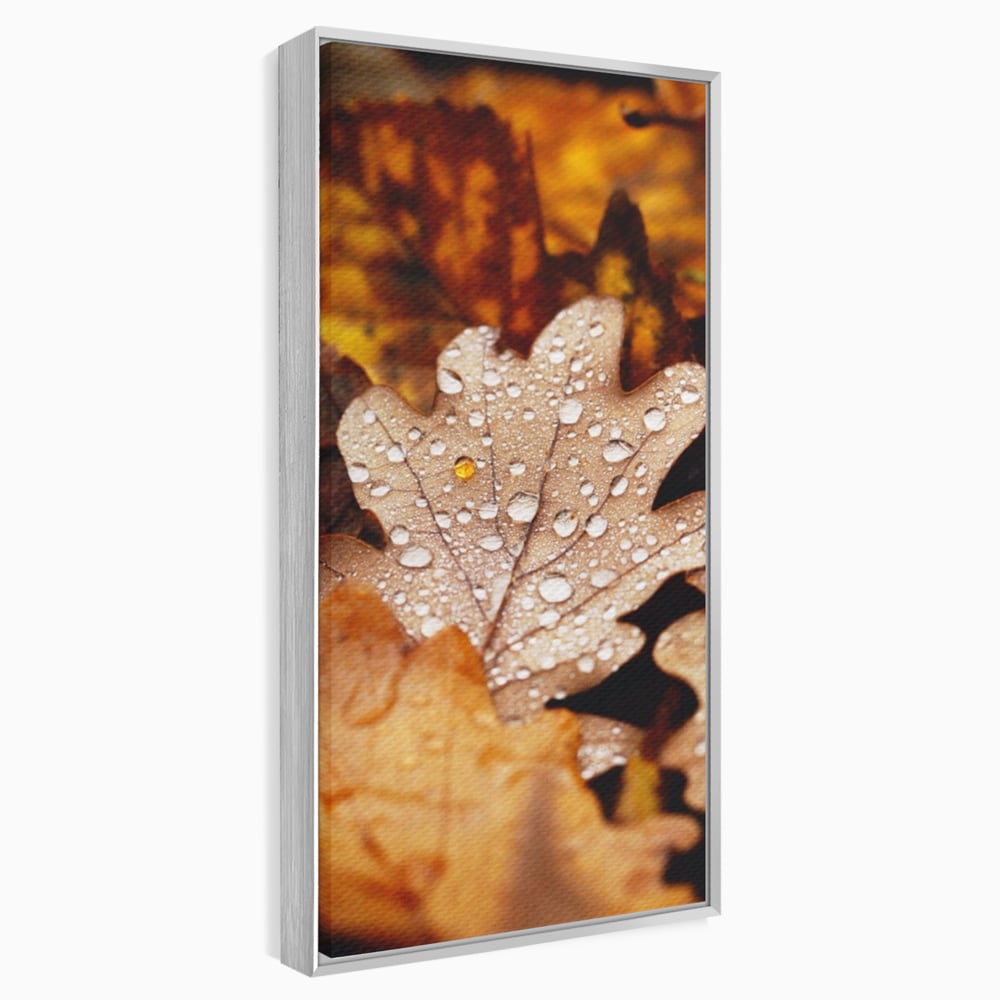 Leinwand Wandkunst Leinwand Wandkunst LuxCanva® A1362, Tautropfen , Lebendig, Blatt, Eiche, Herbst, Bernstein, Natur, Lebendige Farben