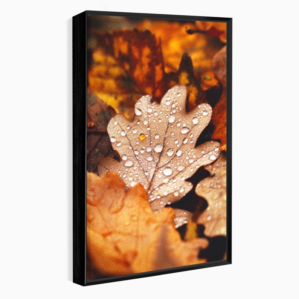 Leinwand Wandkunst Leinwand Wandkunst LuxCanva® A1362, Tautropfen , Lebendig, Blatt, Eiche, Herbst, Bernstein, Natur, Lebendige Farben