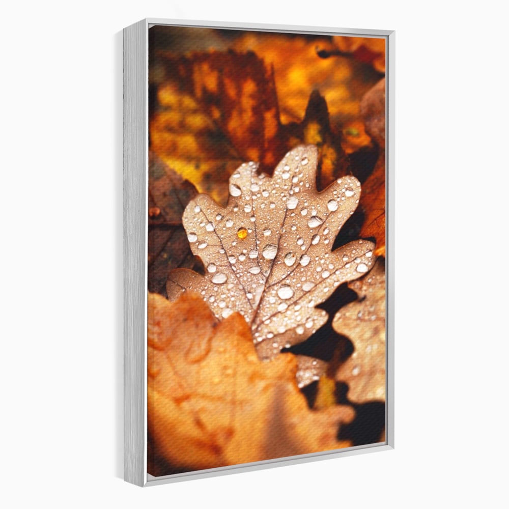 Leinwand Wandkunst Leinwand Wandkunst LuxCanva® A1362, Tautropfen , Lebendig, Blatt, Eiche, Herbst, Bernstein, Natur, Lebendige Farben