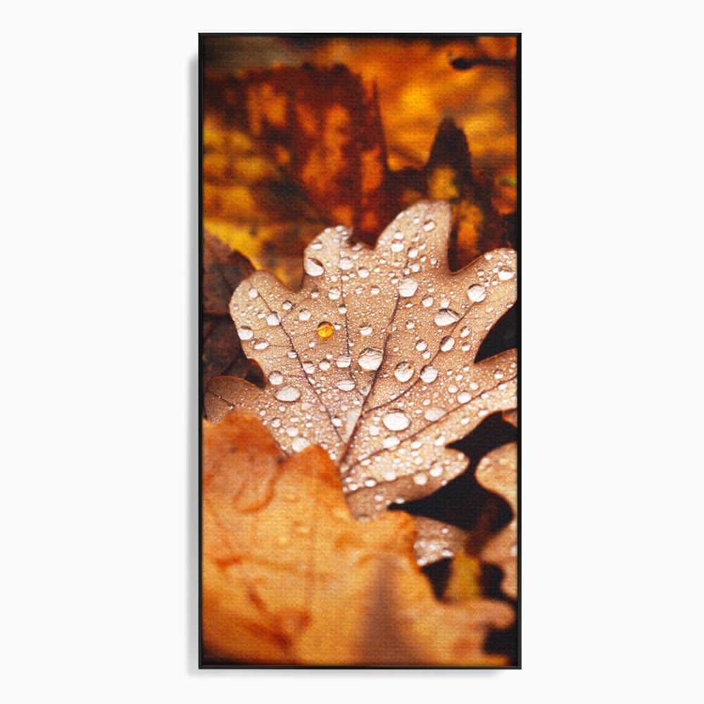 Leinwand Wandkunst Leinwand Wandkunst LuxCanva® A1362, Tautropfen , Lebendig, Blatt, Eiche, Herbst, Bernstein, Natur, Lebendige Farben