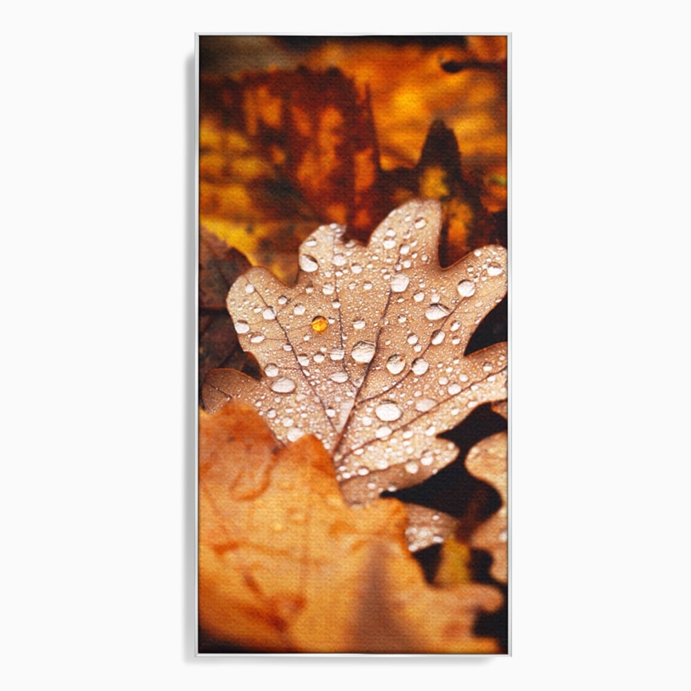 Leinwand Wandkunst Leinwand Wandkunst LuxCanva® A1362, Tautropfen , Lebendig, Blatt, Eiche, Herbst, Bernstein, Natur, Lebendige Farben