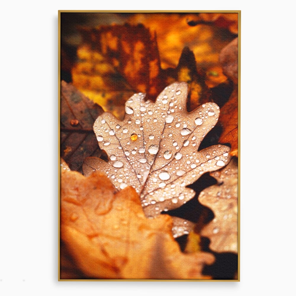 Leinwand Wandkunst Leinwand Wandkunst LuxCanva® A1362, Tautropfen , Lebendig, Blatt, Eiche, Herbst, Bernstein, Natur, Lebendige Farben