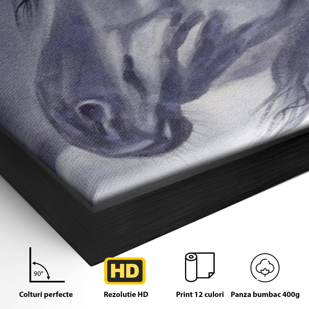 Tablou Canvas Premium LuxCanva® A1365, Calul Gri , Living, Animal, Portret, Mamifer, Dormitor, Culori Vibrante