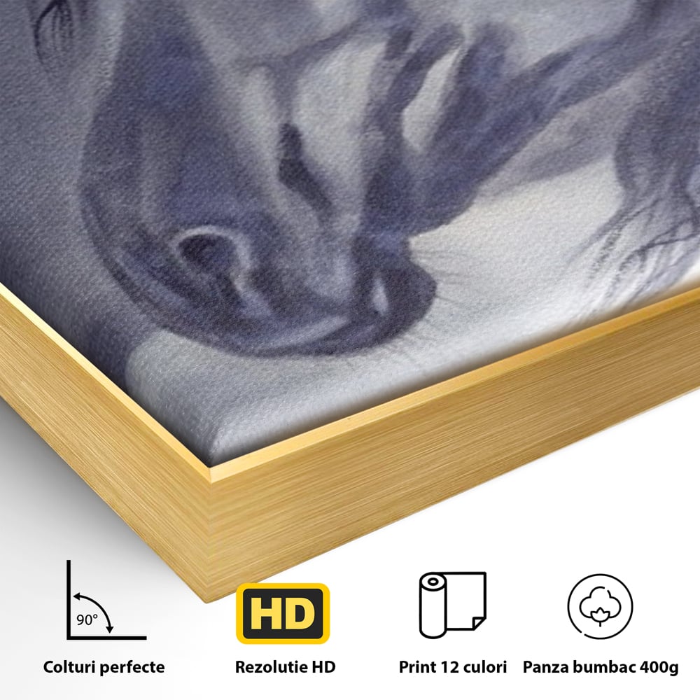 Tablou Canvas Premium LuxCanva® A1365, Calul Gri , Living, Animal, Portret, Mamifer, Dormitor, Culori Vibrante